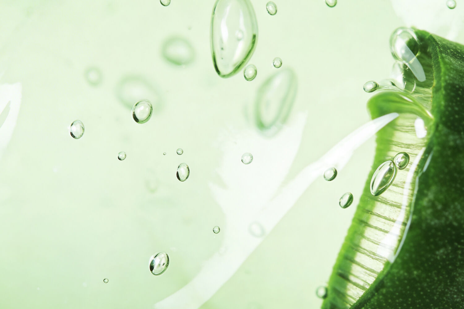 Productos con Aloe Vera - Ingredientes Cetaphil