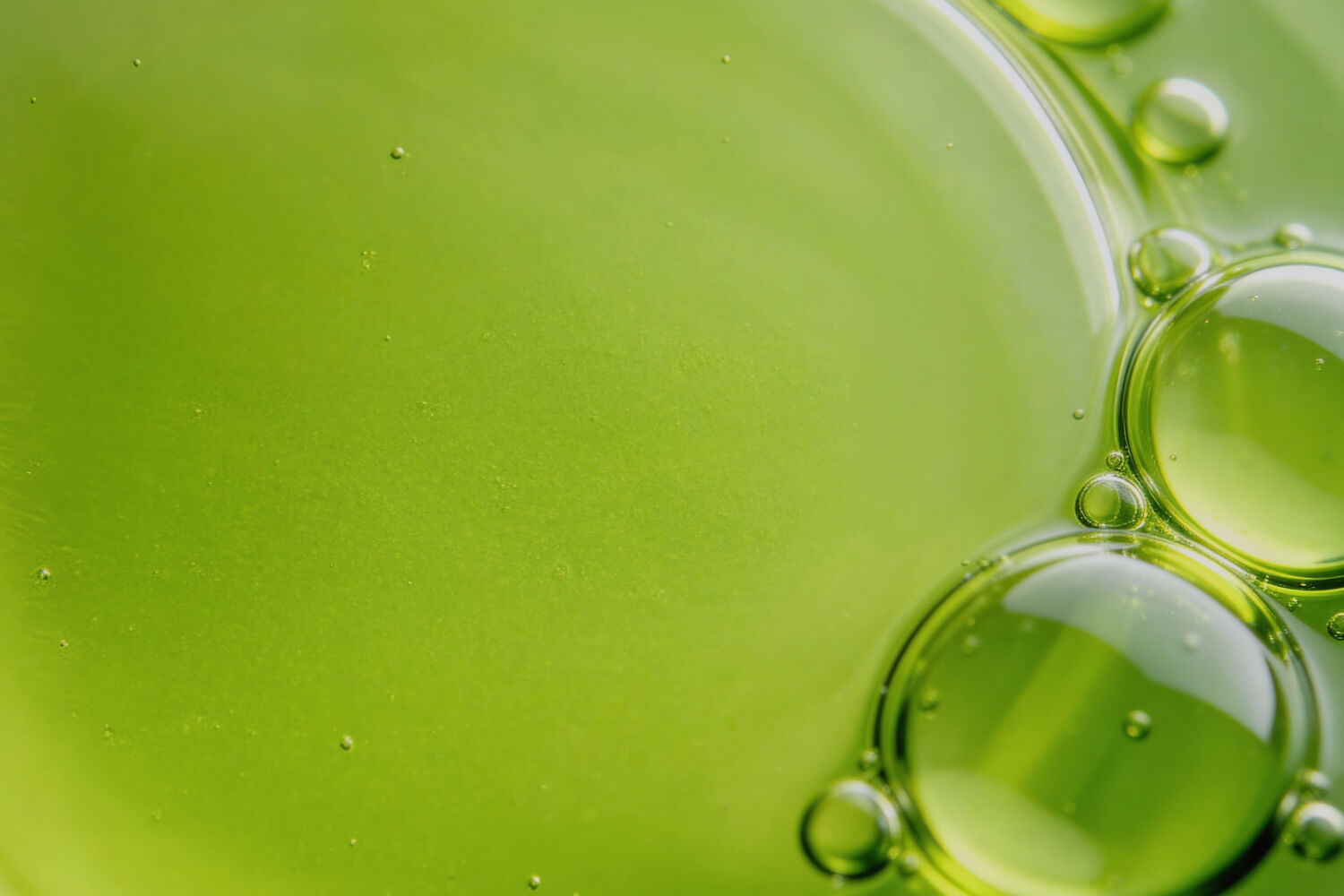 Productos con Aceite de aguacate - Ingredientes Cetaphil