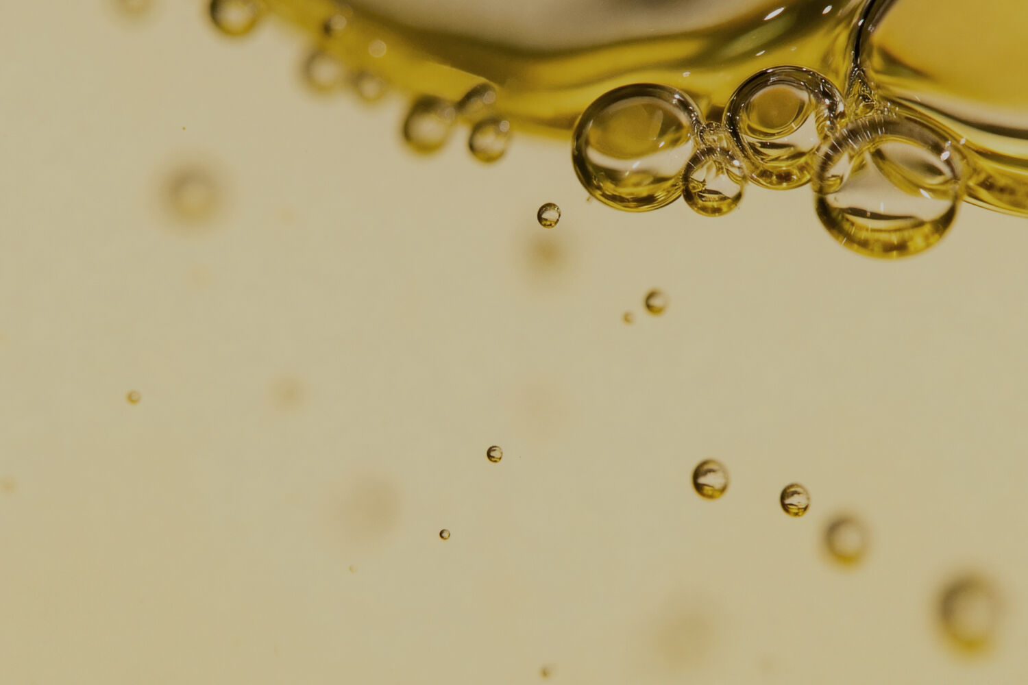 Productos con Aceite de oliva - Ingredientes Cetaphil