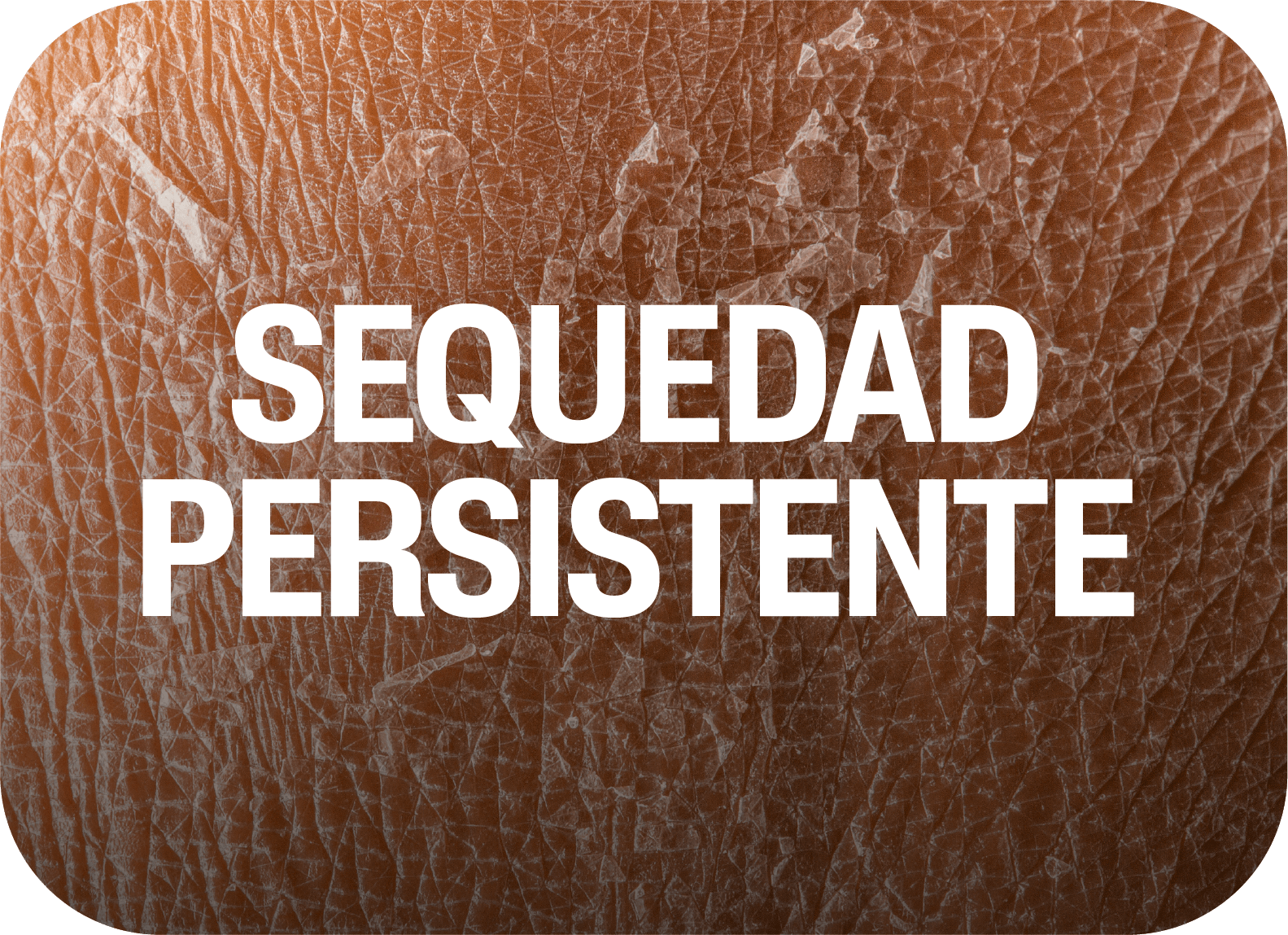 Sequedad persistente