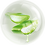 Aloe-Vera.png